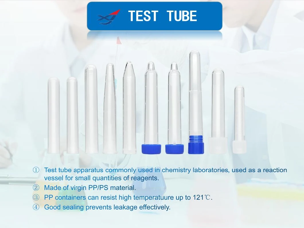 Different Sized Flat Bottom Glass Test Tube with Bead Rim for Lab Testing or Air Plant Terrariums